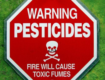 A Monsanto-ügy: rákkeltő szerért lobbiztak az Európai Unióban