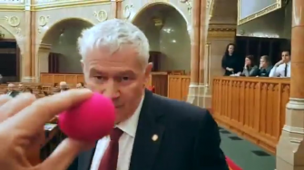 Polt és a tények