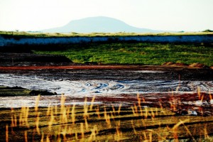 DPP_143    